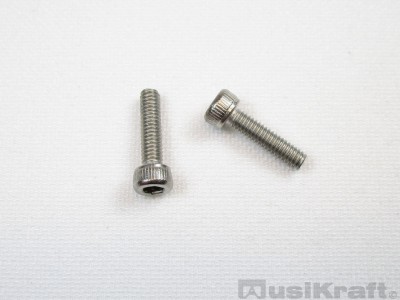 M2.5 x 10mm Stainless Steel 304, Allen hex cap screws (pair)